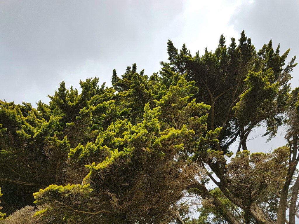 Faut-il toujours se soumettre&nbsp;?