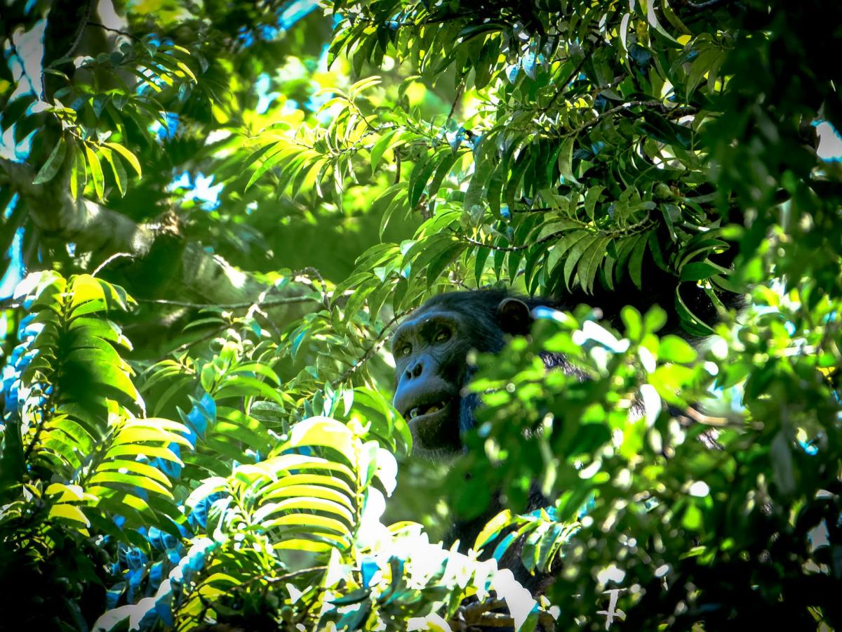 Quel est notre but dans la vie&nbsp;?